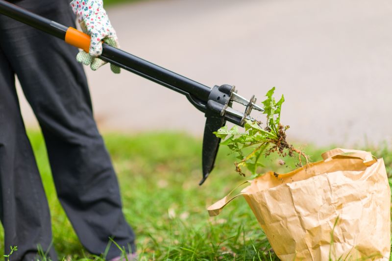 Weed Pulling
