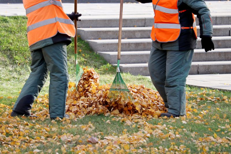 Team Performing Leaf Removal