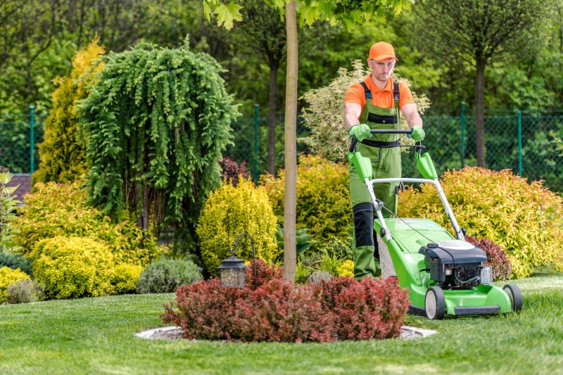 Lawn Care Maintenance