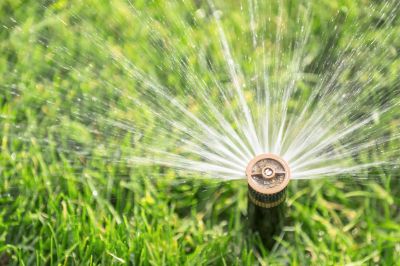 Winterizing sprinkler heads