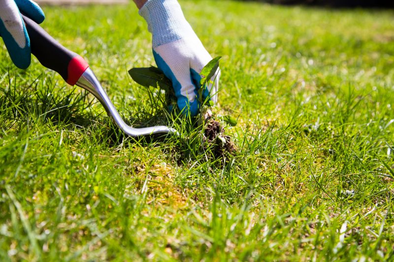 Effective Weed Pulling Services — cost of
